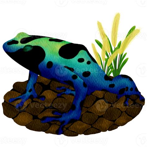 Blue Poison Dart Frog 35890101 Png