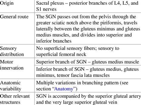 2 Superior gluteal nerve anatomy | Download Table