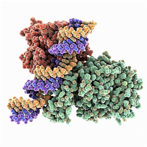 deaminase complexed  dsrna photograph  laguna designscience