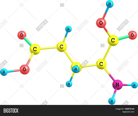 Model Glutamic Acid Image & Photo (Free Trial) | Bigstock