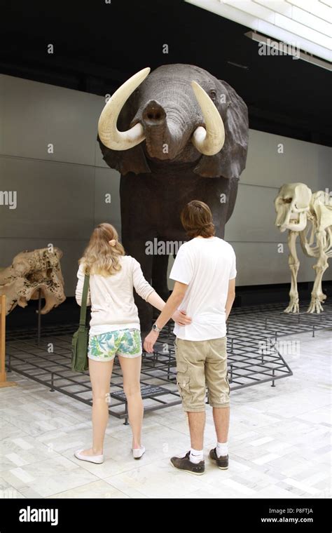 People Visiting Museum Stock Photo Alamy