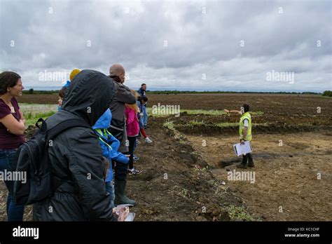 Archaeology Fieldwork Hi Res Stock Photography And Images Alamy