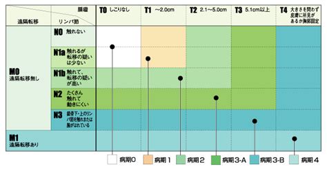 癌 ステージ分類 Tnm Hello Doctor