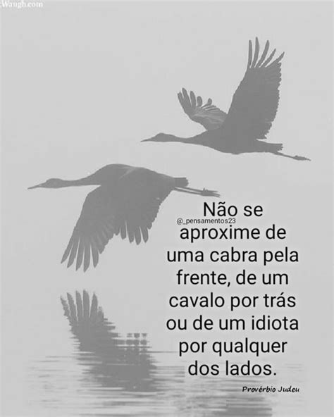 Não se aproxime de uma cabra pela frente de um cavalo por trás ou de