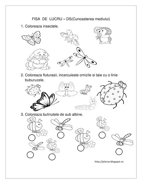 Planse De Colorat Primavara Clasa Pregatitoare Coloring To Print