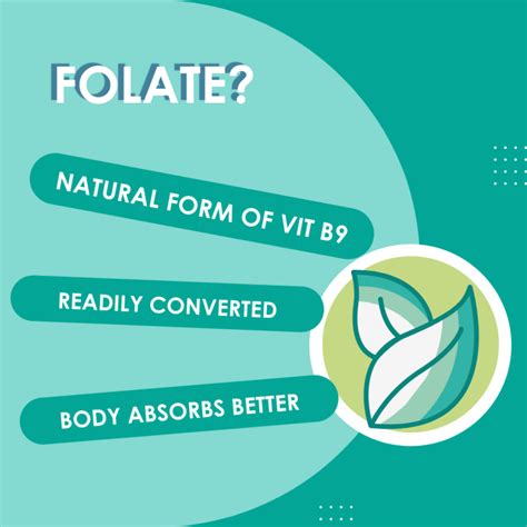 9 Folic Acid Vs Folate Sperm Health Quality Men