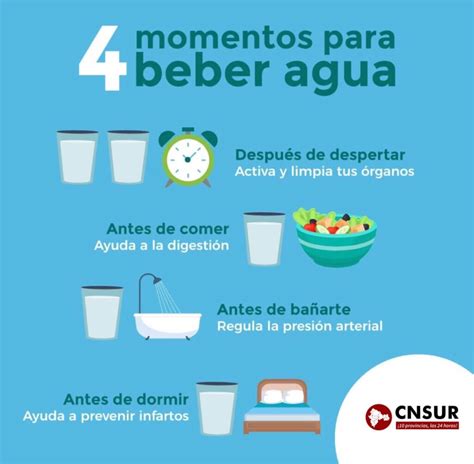 Estos Son Los Cuatros Momentos Indispensables Para Tomar Agua CNSUR