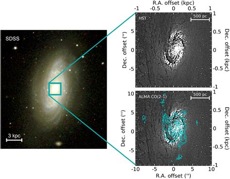 WISDOM Project XV Giant Molecular Clouds In The Central Region Of