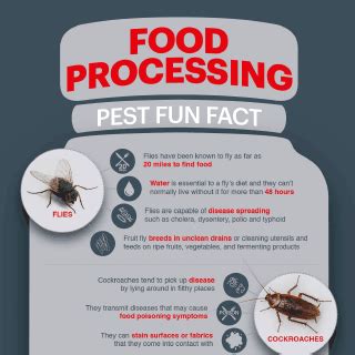 Infographics Rentokil Pest Control Indonesia