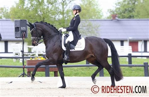 Gram Jacobsen Tager Em Bronze Ridehesten