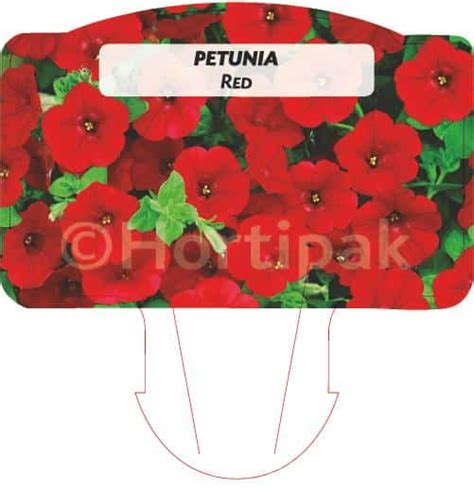 Petunia Red Hortipak E Store