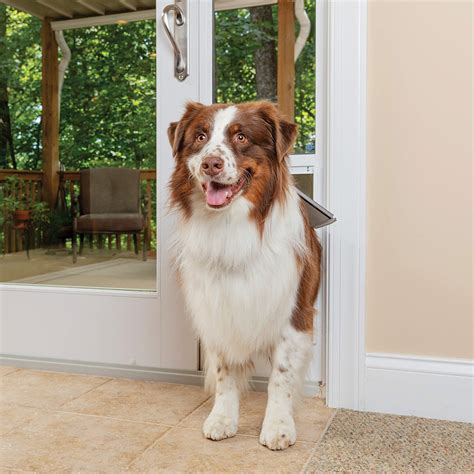 Installing Pet Door In Sliding Glass at Matthew Gibbs blog
