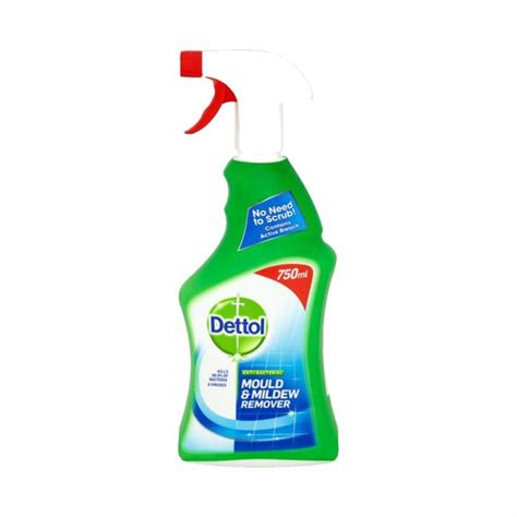 Dettol Anti Bacterial Mould And Mildew Remover 750ml