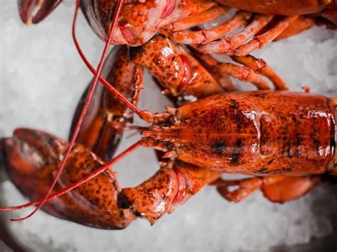 Burger And Lobster Soho Restaurants In Soho London