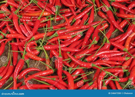 Hot Chilli 1 stock photo. Image of little, condiment - 24667200