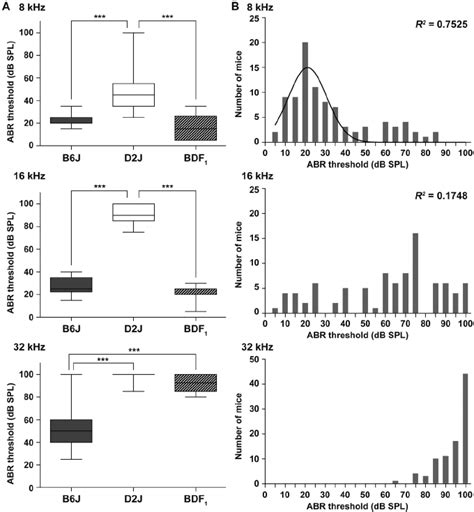 Distributions Of ABR Thresholds In B6J D2J BDF 1 And BDF 1 D2J