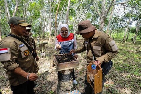 Kelompok Tani Hutan Trigona Reborn Sukses Produksi Madu Kelulut