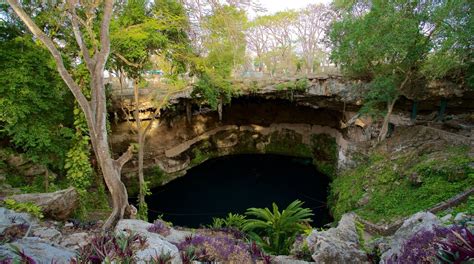 Cenote Zaci Tours - Book Now | Expedia