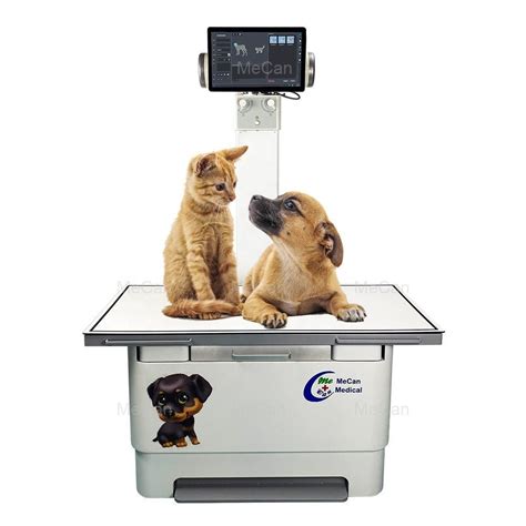 Medical Digital Stationary Pet Radiography X Ray X Ray Machine For