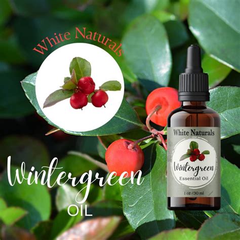 Aceite Esencial De Wintergreen Para Aliviar El Dolor Alivio Env O Gratis