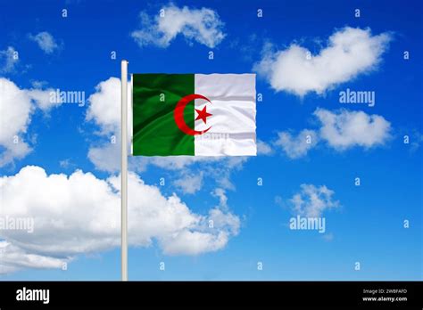 flag  algeria algeria   country  north africa  large part