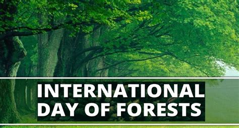 International Day Of Forests 2022 आज मनाया जा रहा है विश्व वन दिवस