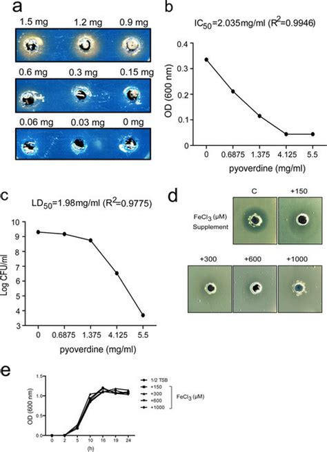 Pyoverdine Activity Assay A Purified Pyoverdine Was Loaded Into The