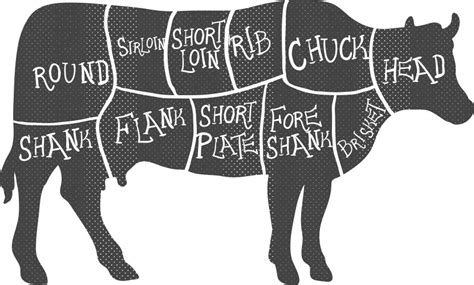 American Primal Pork Meat Cuts Diagram Royalty Free Vector