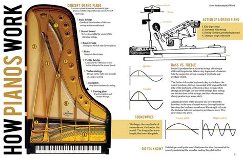 How Pianos Work Infographic Teaching Music Piano Lessons Piano