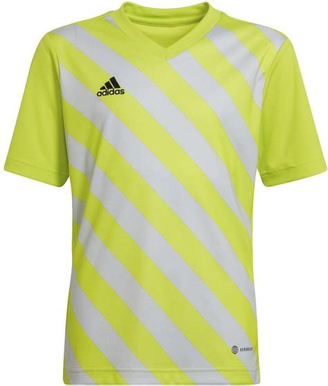 Adidas Teamwear Koszulka Dla Dzieci Entrada 22 Graphic Jersey Żółto