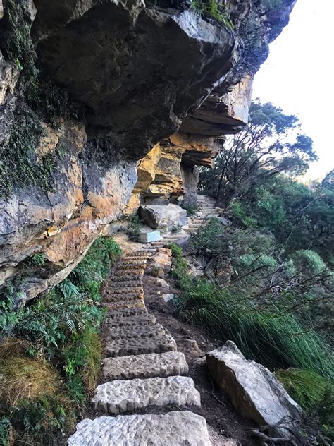 Undercliff Track Wentworth Falls One Of The Best Walks In The Blue