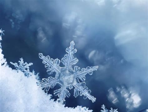 The World S Largest Snowflake And Other Interesting Snow Facts Apukka