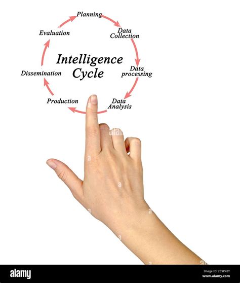 Intelligence Cycle Chart