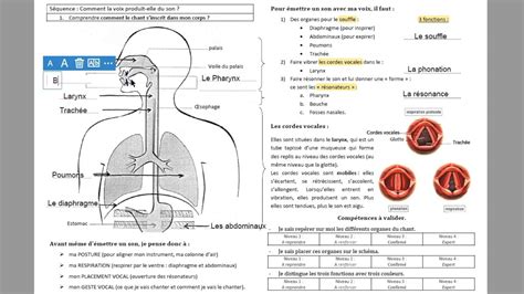 Fiche Le Fonctionnement De La Voix Youtube