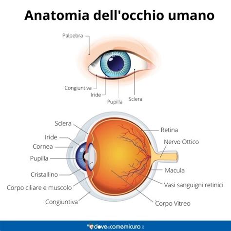 Malformazione Oculare Congenita