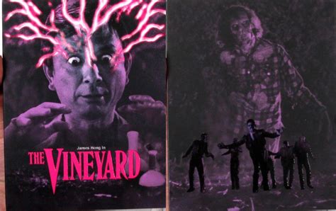 Vinegar Syndrome S The Vineyard K Restoration Blu Ray Review