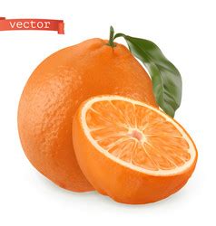 Mango fresh fruit 3d realistic icon Royalty Free Vector
