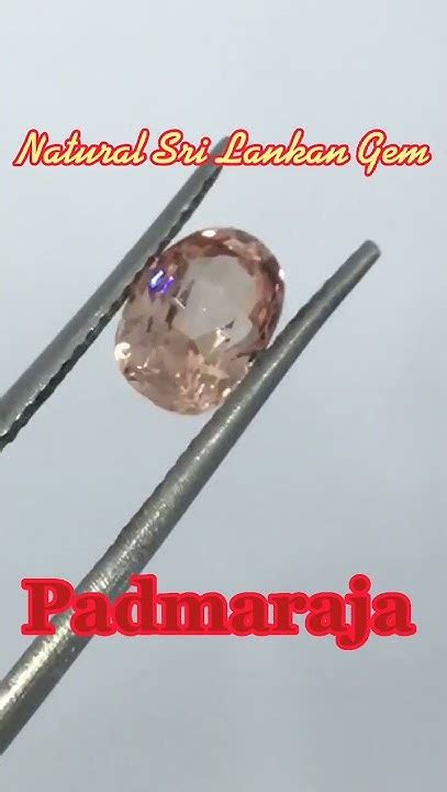 Nature In World Sri Lankan Natural Gem Corondum Padmaraja ශ්‍රී