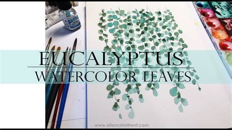 Watercolor Painting For Beginners Eucalyptus Leaves Hanging Plant