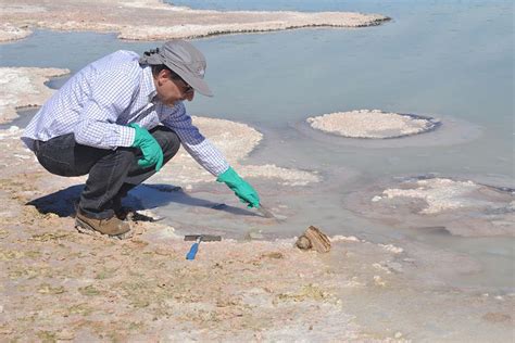 Hallazgo de estromatolitos vivos en el Salar de Atacama revela los ...