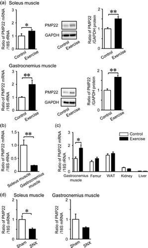 Journal Of Cellular Physiology X Mol