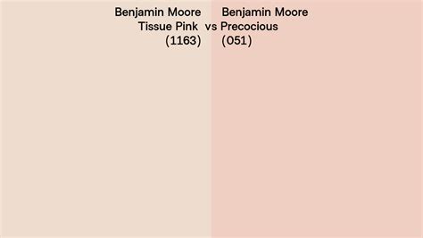 Benjamin Moore Tissue Pink Vs Precocious Side By Side Comparison