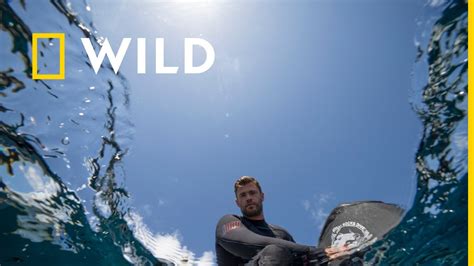 Chris Hemsworth Plaja Rechinilor Sharkfest National Geographic