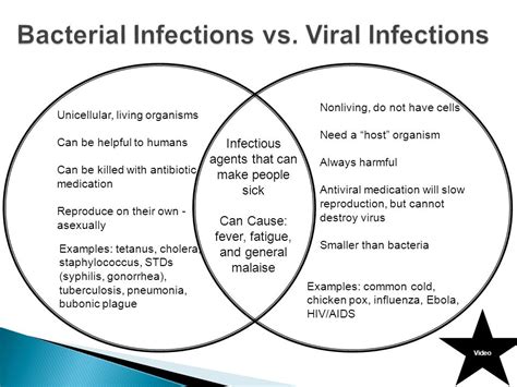 Why Do Antibiotics Not Work On Viral Infections