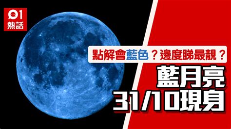 萬聖節前夜「藍月亮」現身！點解月亮會變藍色 港澳新聞 時事焦點 公仔箱論壇 Powered By Discuz