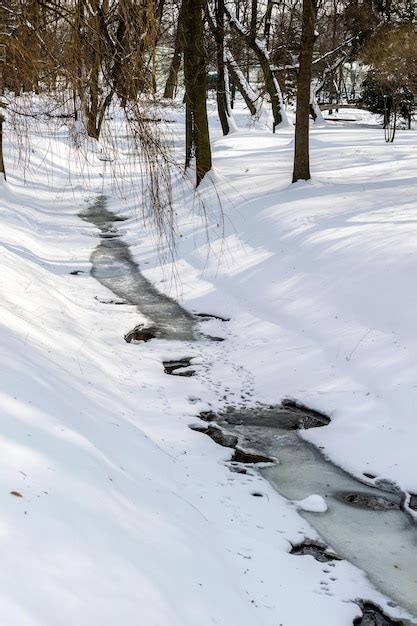 Um Rio Congelado Na Neve Do Parque Fica Ao Longo Das Margens E As