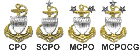 Senior Cpo Collar Device And Id Badge V Rating Badge Ruscg