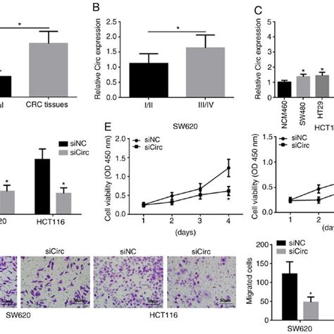 Downregulation Of Hsa Circ 0038646 Inhibits Human CRC Cell