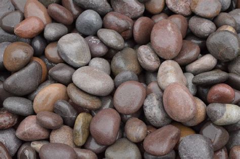 River Pebbles At Best Price In Indore Asian Stones