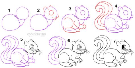 How To Draw a Squirrel (Step by Step Pictures)